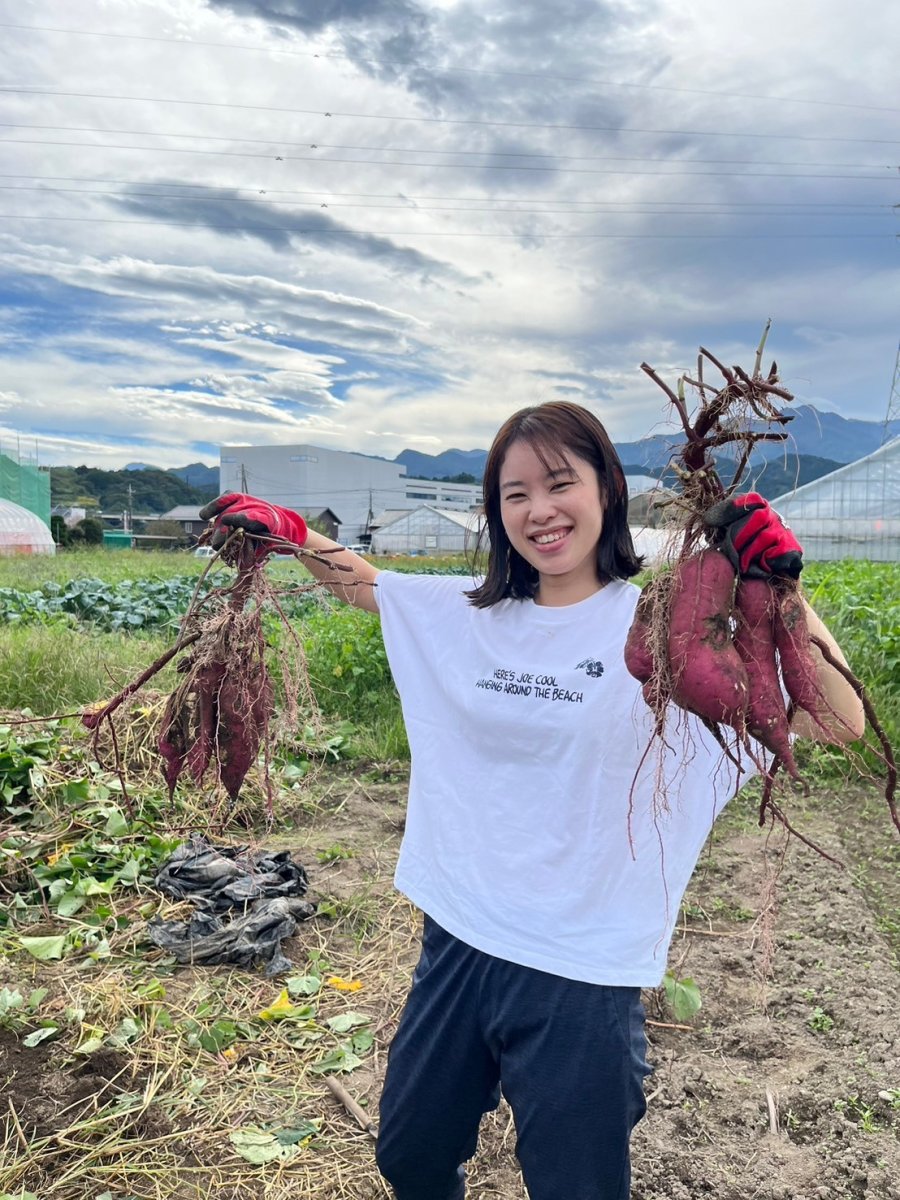 すずの活動写真