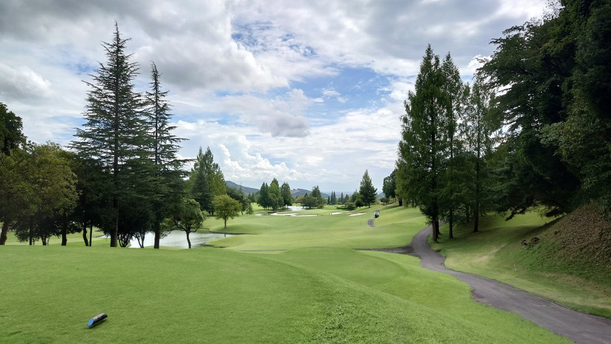 とみーの活動写真